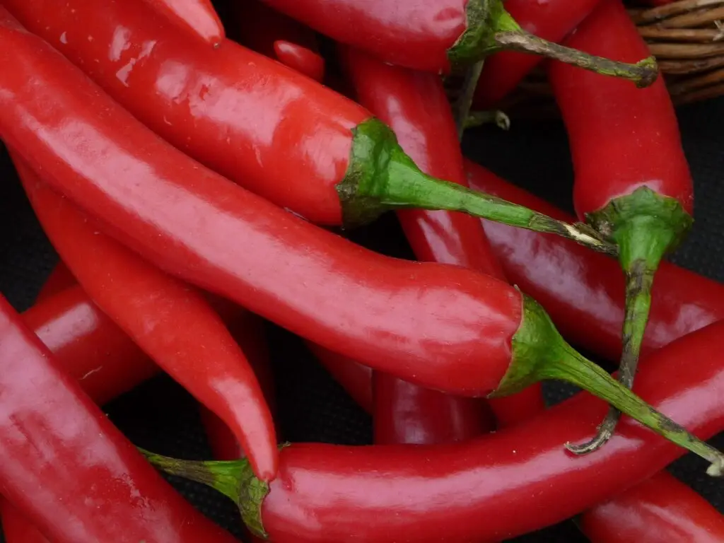 Pimenta